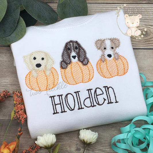 Puppies in Pumpkins