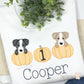 Fall Puppy Embroidered Shirt